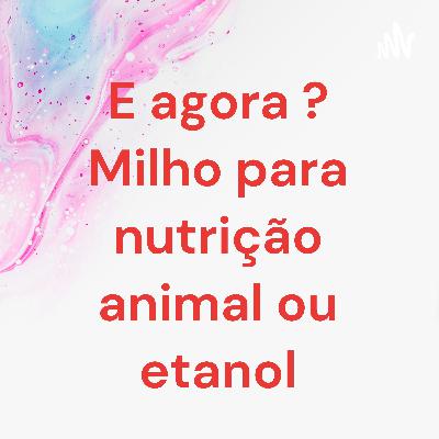 Podcast Culturas Energéticas