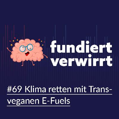 Klima retten mit transveganen E-Fuels