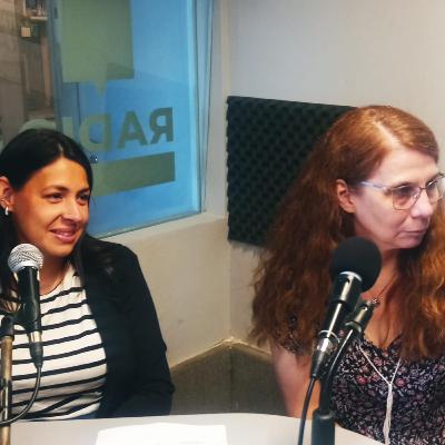 Diario de Sesiones: la memoria con rango constitucional que garantiza la transparencia legislativa