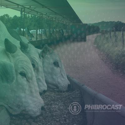 PhibroCast - Episódio 12: A importância da dieta certa no confinamento
