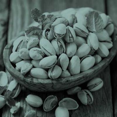 באקה אל גרבייה