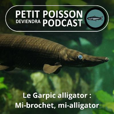 BEST OF D'ÉTÉ #14 : Le Garpic alligator : Un carnassier géant au pays des cowboys