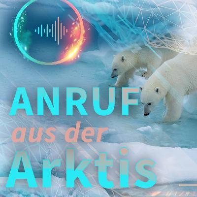 #10 Eisbären in Sicht