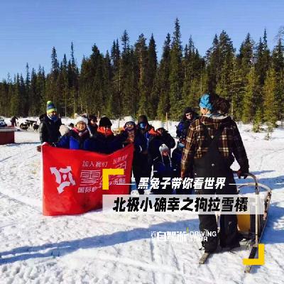 北极系列6——番外篇2：北极小确幸之狗拉雪橇