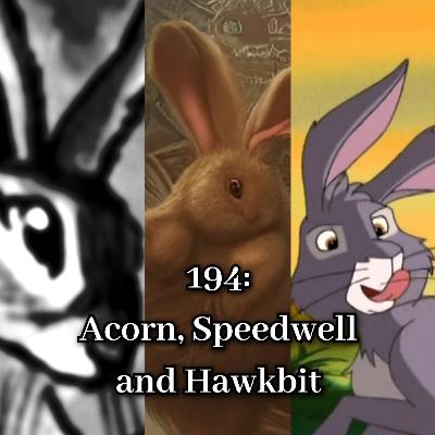 194: Acorn, Speedwell and Hawkbit