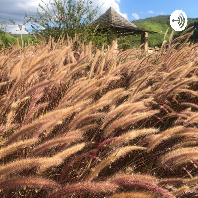 Saia do Egito e do meio do povo de línguas estranhas