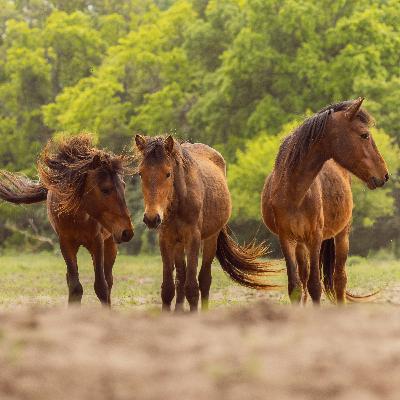 20250826 - Body scan bottom to top