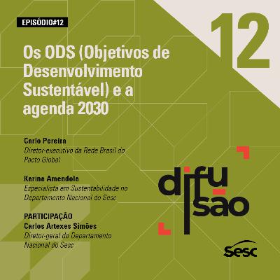 #12 - Os ODS (Objetivos de Desenvolvimento Sustentável) e a agenda 2030 #12 - Os ODS (Objetivos de Desenvolvimento Sustentável) e a agenda 2030
