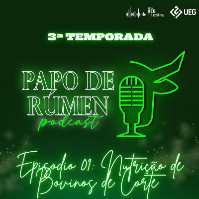 T3 Ep1 | Papo de rúmen | Nutrição de bovinos de corte