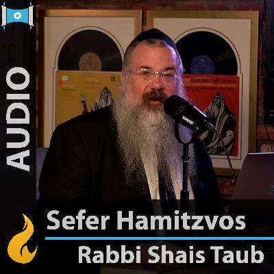 Sefer Hamitzvos: Day 273