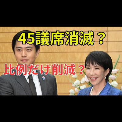 比例45議席削減と国会議員713人の現実 自民党と日本維新の会の再提出案は妥当か 比例45議席削減と国会議員713人の現実 自民党と日本維新の会の再提出案は妥当か
