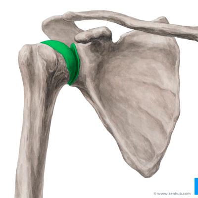 Objective assessment - Shoulder joint