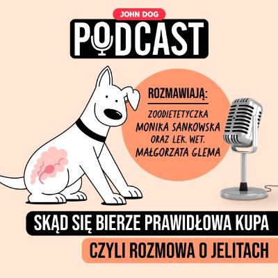 #11 – Jak ważne jest zdrowie jelit? | Rozmowa lekarza weterynarii i zoodietetyka