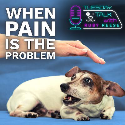 Dog Behaviour - If Pain is the Problem Dog Behaviour - If Pain is the Problem