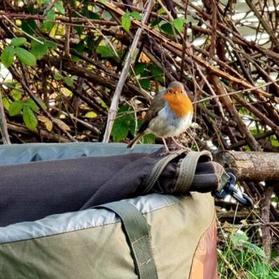 When Everything Looks Right… But the Carp Don’t Play Ball!