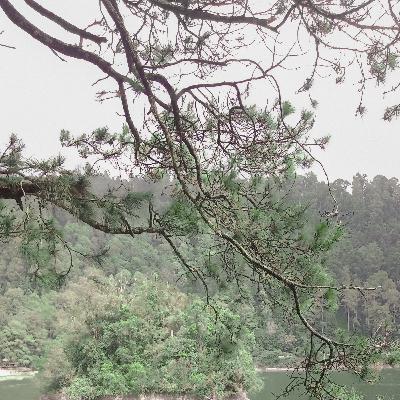 UPAYA PENCEGAHAN TERHADAP PELANGGARAN HAM