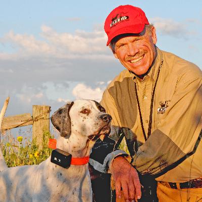 Bird dog legend, trainer George Hickox on new ways to achieve steadiness ... and more