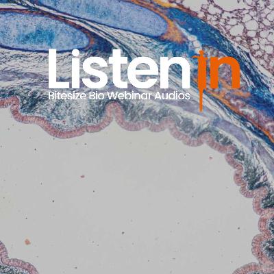 Unleashing Fibrotic Secrets: Coupling the Power of Laser Microdissection with Mass Spec