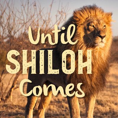 Bible Study: Until Shiloh Comes
