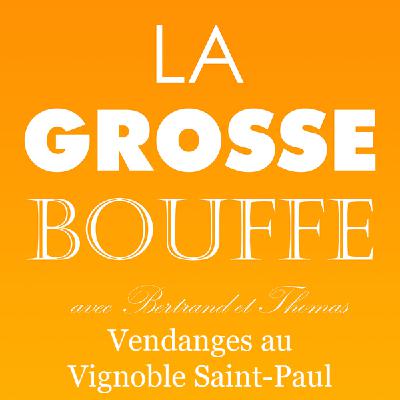 Vendanges au Vignoble Saint-Paul