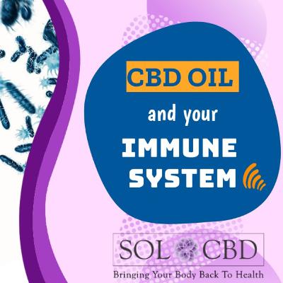 How CBD Helps Keep Your Immune System Strong