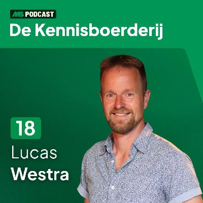 Verder dan cijfers