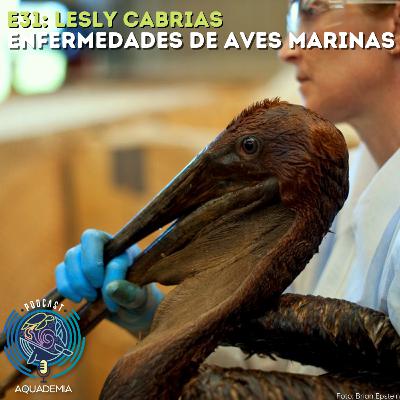 E31: Lesly Cabrias: Enfermedades de Aves Marinas E31: Lesly Cabrias: Enfermedades de Aves Marinas