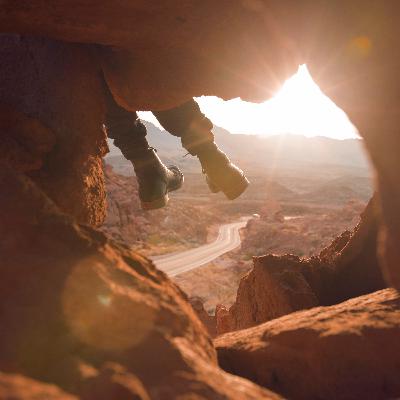 Principles or Preferences