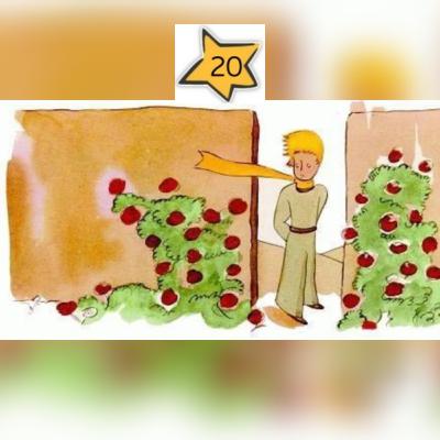 شازده کوچولو🤴. 20