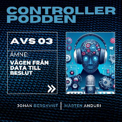Avsnitt 3 - Vägen från data till beslut