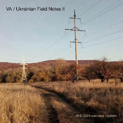 Ukrainian Field Notes - 20 November 2024