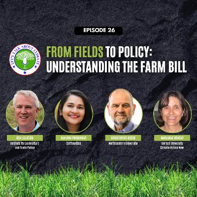 From Fields to Policy: Understanding the Farm Bill