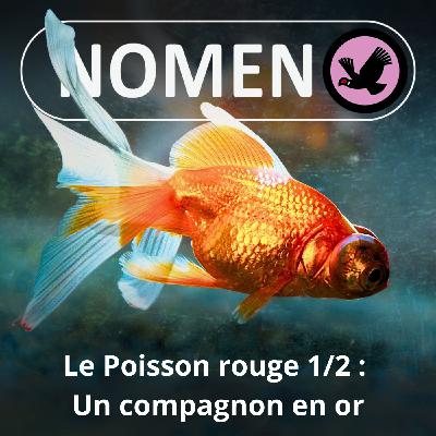 S05E15 Le Poisson rouge 1/2 : Le non-agité du bocal S05E15 Le Poisson rouge 1/2 : Le non-agité du bocal