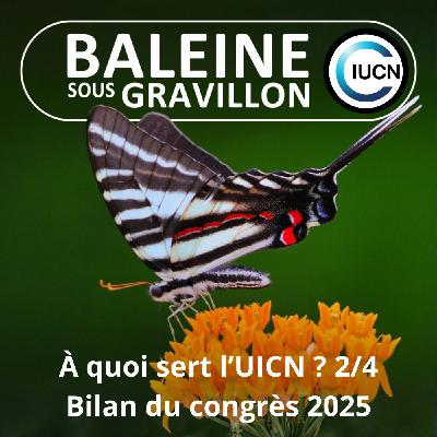 S07E44 C'est quoi l'UICN ? 2/4 : Ce qu'il faut retenir du congrès 2025 (Maud Lelièvre)