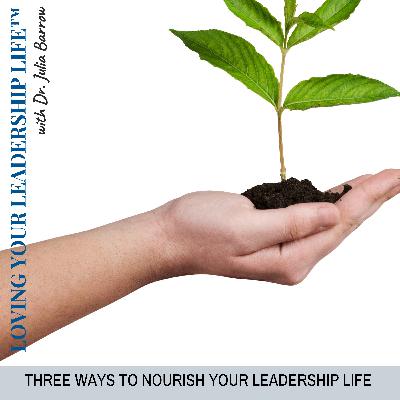 Three Ways To Nourish Your Leadership Life Three Ways To Nourish Your Leadership Life