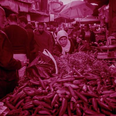 למה מלפפון בלדי טעים יותר? למה מלפפון בלדי טעים יותר?