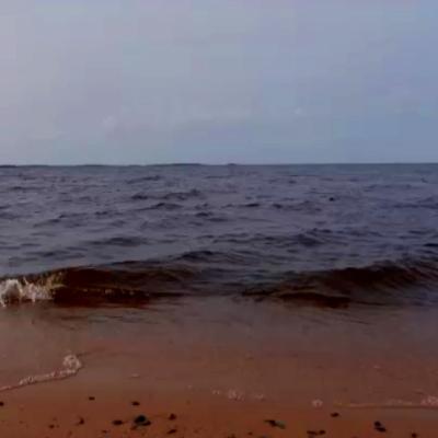 The Mermaid's Call