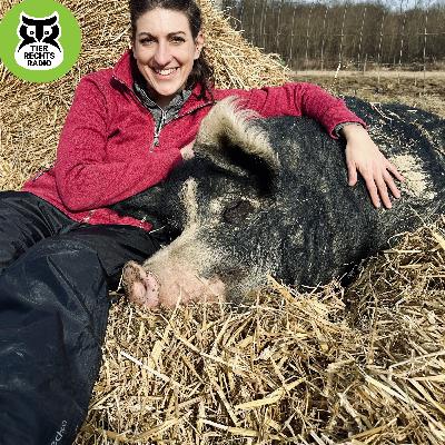 Tierrechte im Fernsehen Tierrechte im Fernsehen