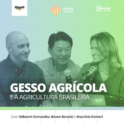 Feras do Agro [#11] - Gesso agrícola e a agricultura brasileira