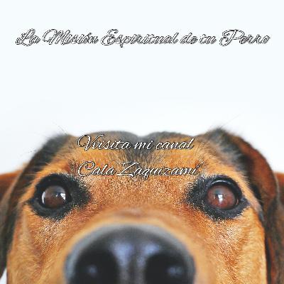 La Misión Espiritual de tú Perro