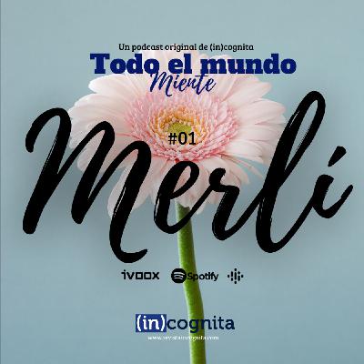 T1_P1 Merlí