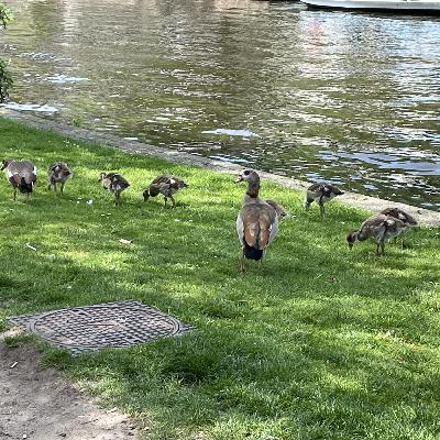 S1 AFLEVERING 3 MENNO SCHILTHUIZEN S1 AFLEVERING 3 MENNO SCHILTHUIZEN