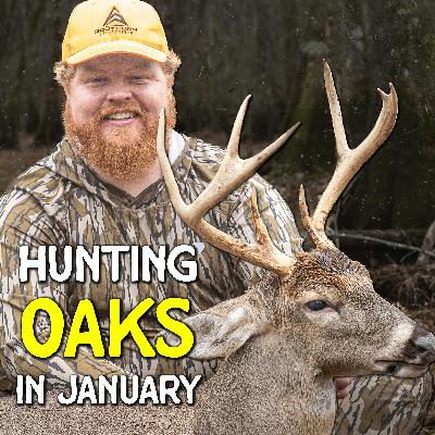 755 - How Jacob Tagged an Alabama Public Land SWAMP BUCK! 755 - How Jacob Tagged an Alabama Public Land SWAMP BUCK!