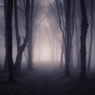 Episode 6: The Soggy Bog of Doom Halloween show