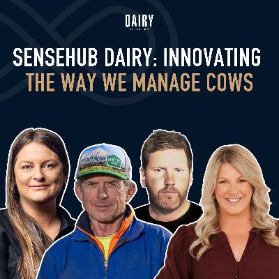 Special Episode - SenseHub Dairy: Innovating the Way We Manage Cows