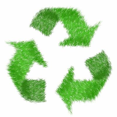 Green Rentals on the Cape and Islands
