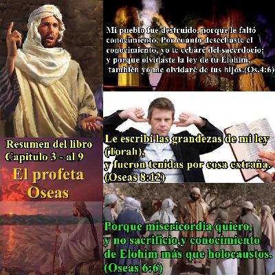 10-Resumen del Capitulo 3 al 9.mp3 10-Resumen del Capitulo 3 al 9.mp3