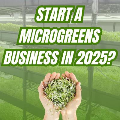 How Much Does It Really Cost to Start a Microgreens Business?