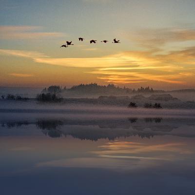 Nature Nomade 2024 - Nos voisins les oiseaux