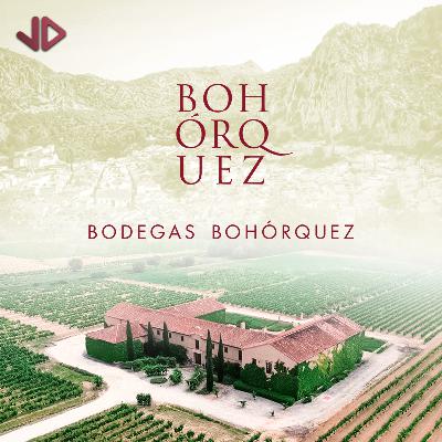 Bohórquez: verdejo, crianza y reserva (D.O. Ribera del Duero, Rueda) – Cata con Rafael Lucendo